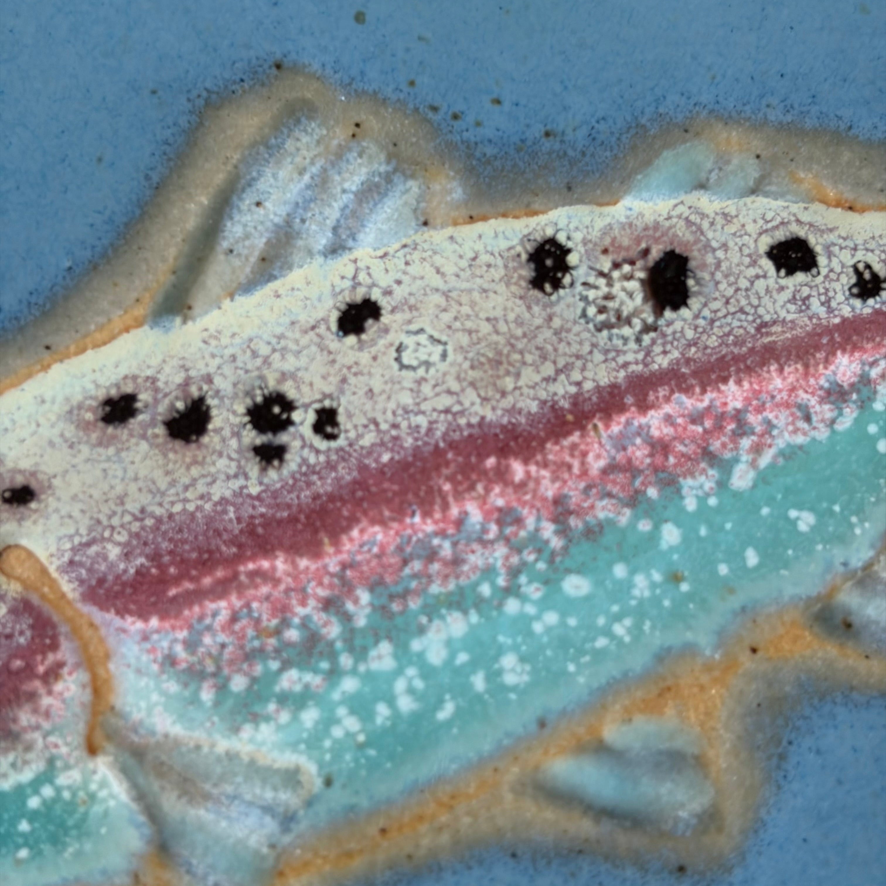 Ceramic fish glaze close-up