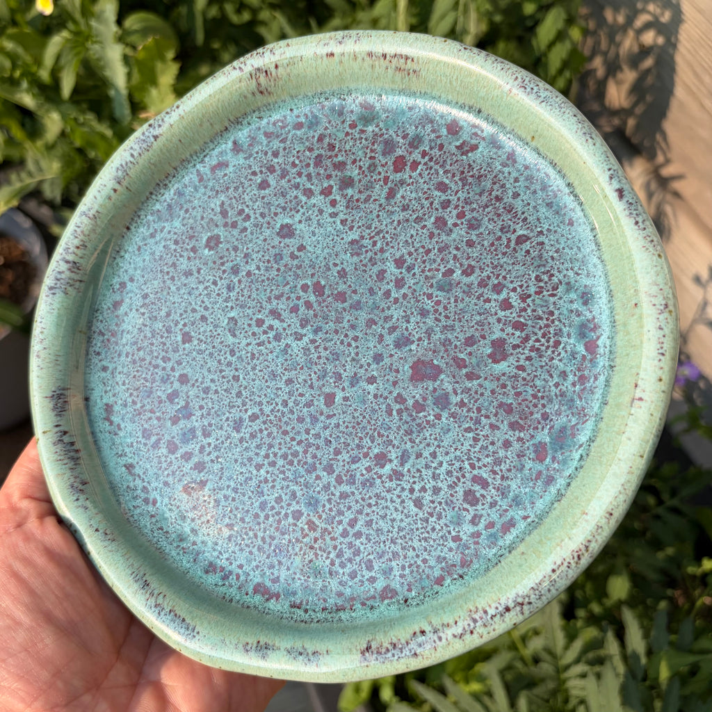 Aqua Lakeshore 6” Plate #004